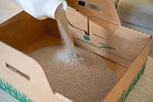 Person carrying the sealed Ten Second Litter Box by its built-in handle